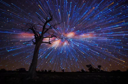 night nature star trail HD Desktop Wallpaper | Background Image