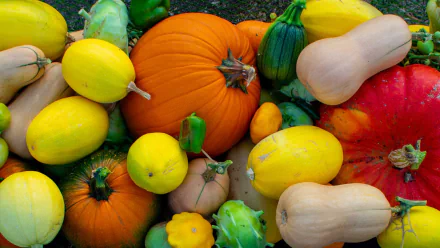 food vegetable HD Desktop Wallpaper | Background Image