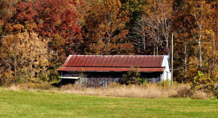4K Ultra HD photo of a rustic barn surrounded by vibrant fall foliage, captured in sharp detail for a striking PC desktop wallpaper.