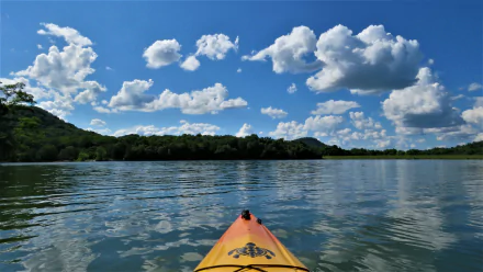  Owsley Fork Reservoir Berea KY