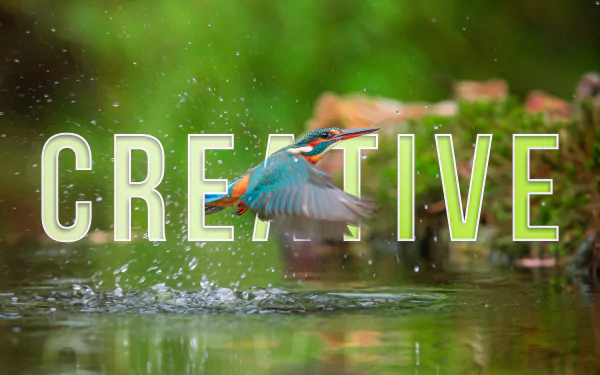 A stunning artistic desktop wallpaper featuring a creative bird design, perfect for adding flair to your computer background.