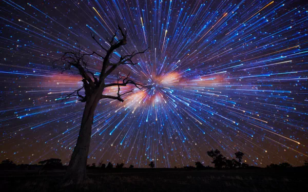 night nature star trail HD Desktop Wallpaper | Background Image