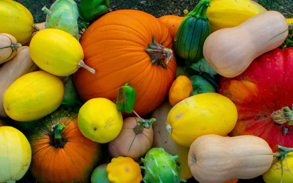food vegetable HD Desktop Wallpaper | Background Image