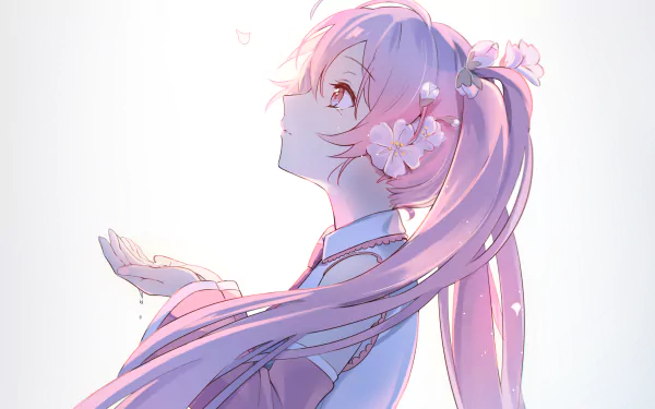 HD anime-style PC desktop wallpaper featuring Hatsune Miku from Vocaloid with soft pink hues and floral accents in her long hairstyle.