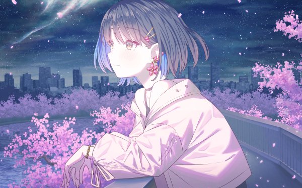 Anime Girl Sakura Night Cherry Blossom Spring City HD Wallpaper | Background Image