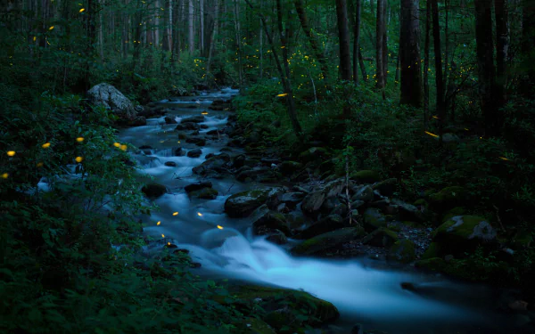 A serene stream flowing through a lush, natural landscape, perfect for an HD desktop wallpaper.