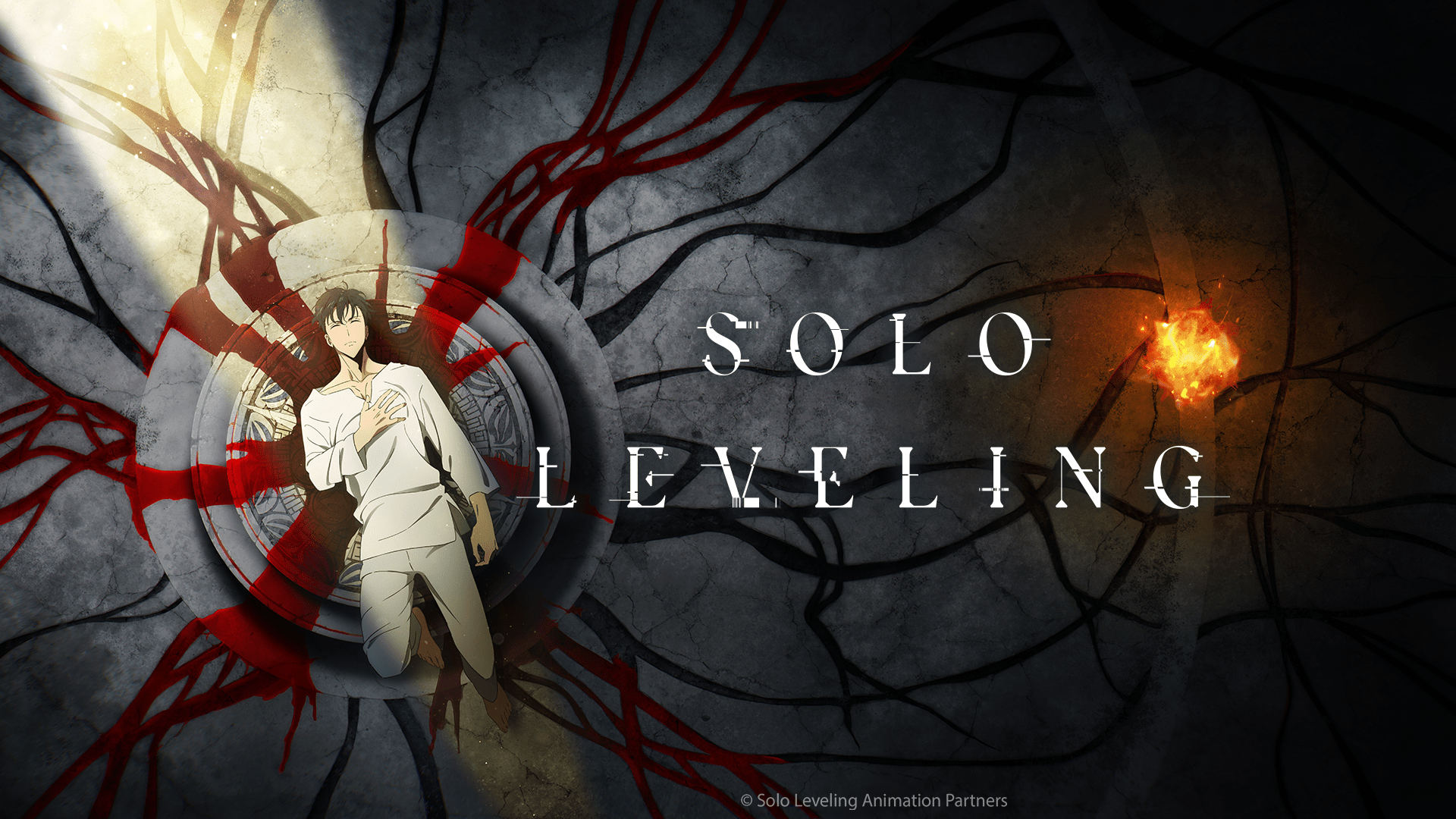 Solo Leveling Sung Jin Woo Anime Manga Poster Room Wall Art Canvas Posters  Print | eBay
