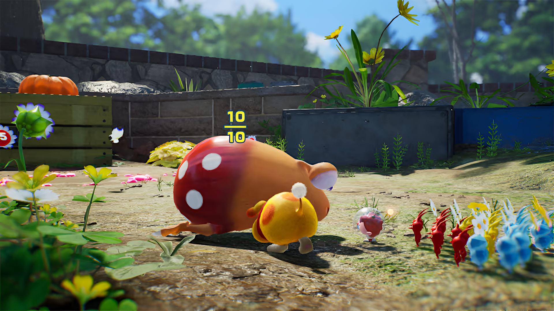 Pikmin Wallpapers 4K  Flickr