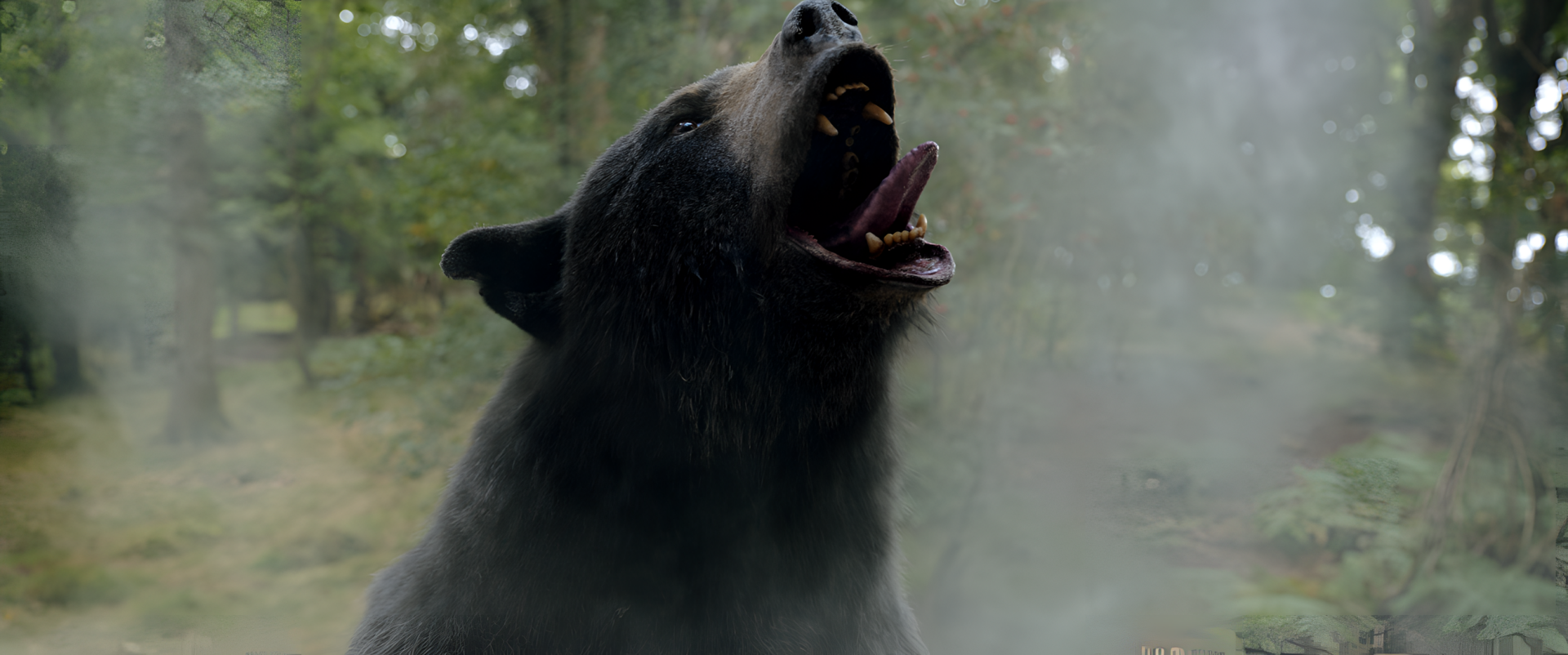 A close-up of a roaring bear amidst a misty forest backdrop, inspired by the movie Cocaine Bear. This HD wallpaper captures the wild essence of the film.