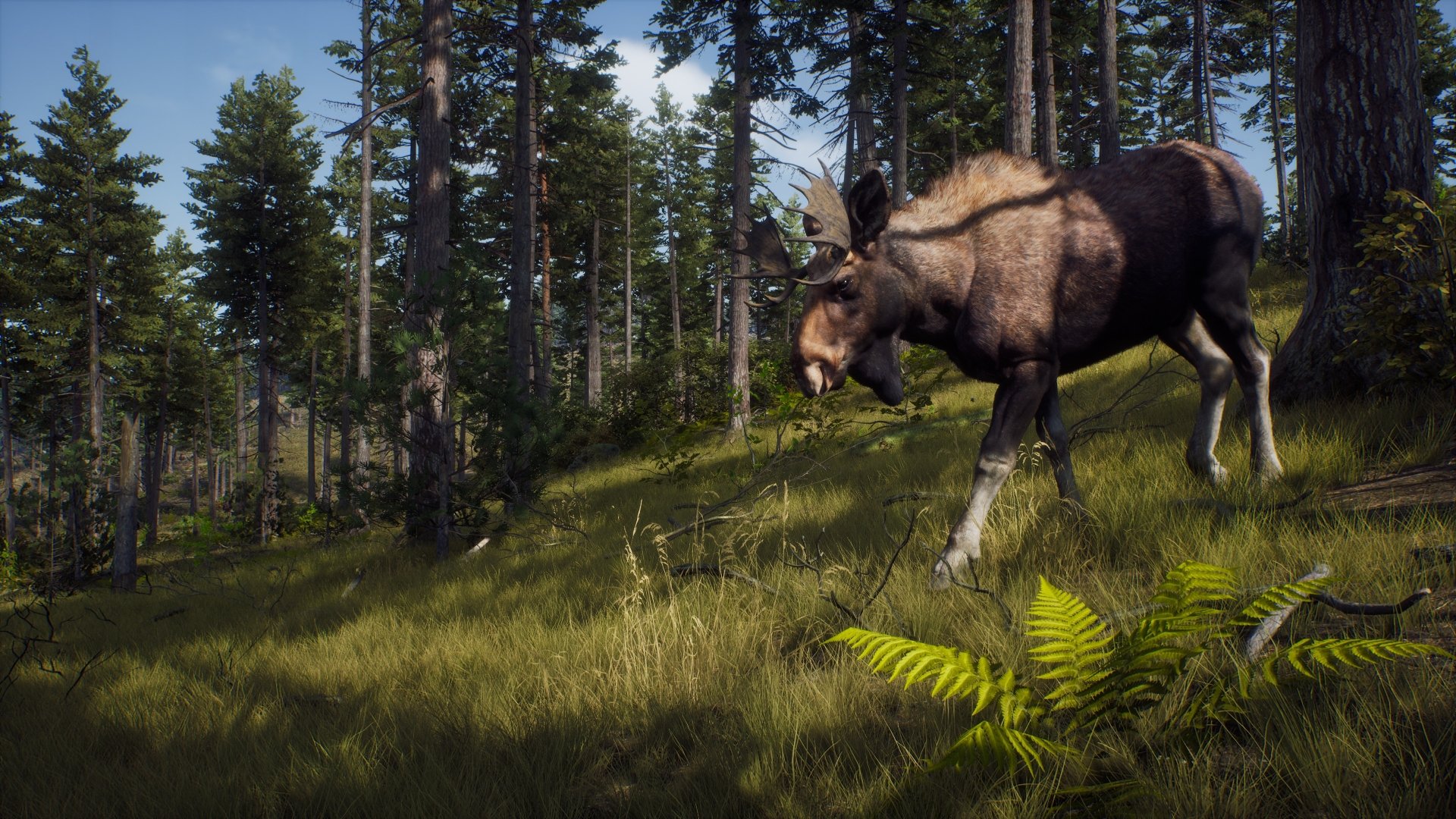 HD desktop wallpaper from the video game Way of the Hunter, featuring a moose in a dense, sunlit forest.