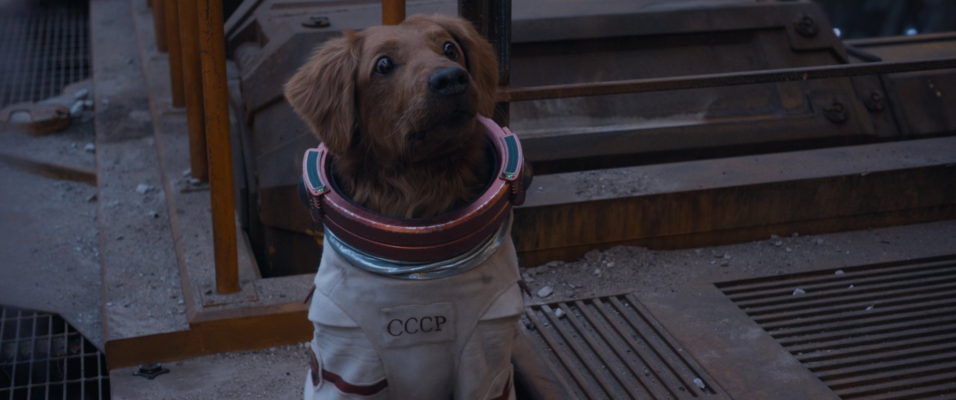 Cosmonaut dog in a spacesuit, possibly representing Cosmo the Spacedog from Guardians of the Galaxy Vol. 3, set as a high-definition desktop wallpaper background.