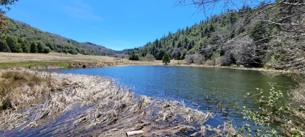 Scenic HD desktop wallpaper of a calm lake surrounded by mountainous landscape and lush greenery in Southern California, capturing nature and hiking beauty.