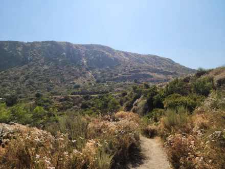  Hiking in Greater San Diego County Landscape Photography