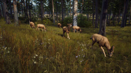 HD desktop wallpaper from the video game 'Way of the Hunter' featuring deer grazing peacefully in a lush forest setting.