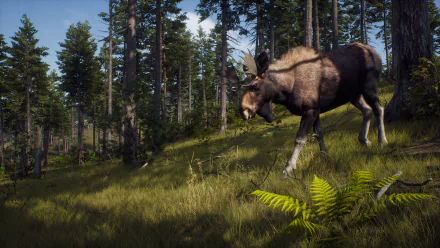 HD desktop wallpaper from the video game Way of the Hunter, featuring a moose in a dense, sunlit forest.