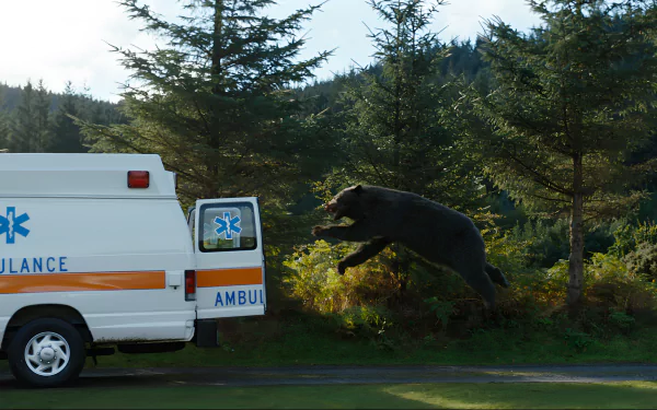 HD desktop wallpaper of the Cocaine Bear leaping near an ambulance in a forested area.