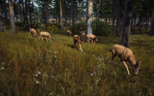 HD desktop wallpaper from the video game 'Way of the Hunter' featuring deer grazing peacefully in a lush forest setting.