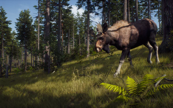 HD desktop wallpaper from the video game Way of the Hunter, featuring a moose in a dense, sunlit forest.