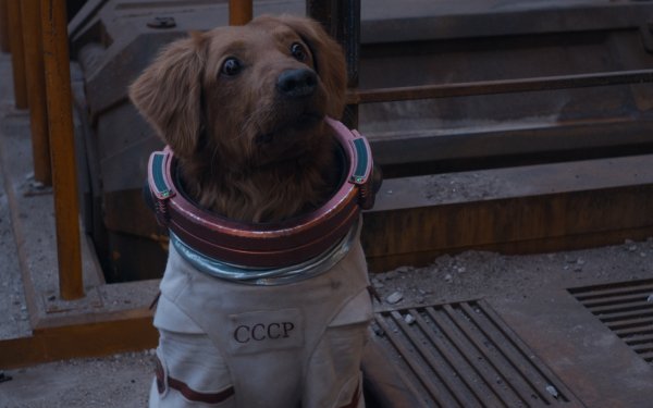 Cosmonaut dog in a spacesuit, possibly representing Cosmo the Spacedog from Guardians of the Galaxy Vol. 3, set as a high-definition desktop wallpaper background.