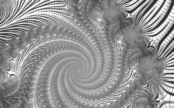 Abstract Fractal Trippy Psychedelic Black White HD Wallpaper | Background Image