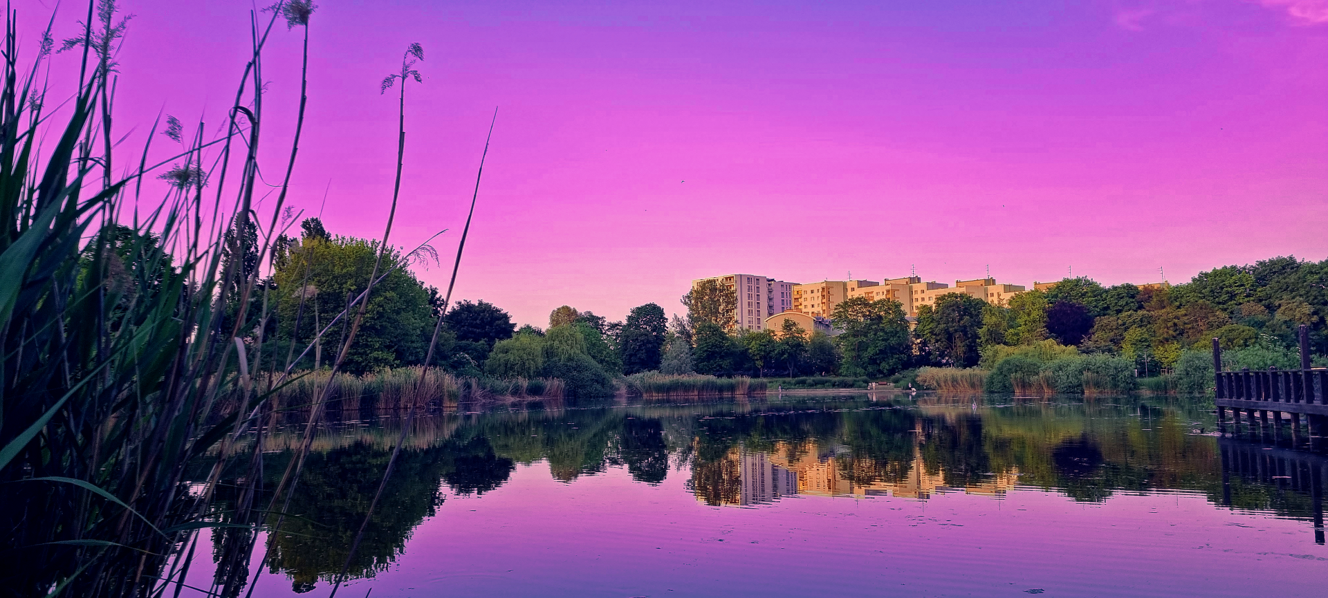 HD cityscape wallpaper featuring a serene park with a calm lake reflecting buildings and lush greenery under a vibrant pink sky.