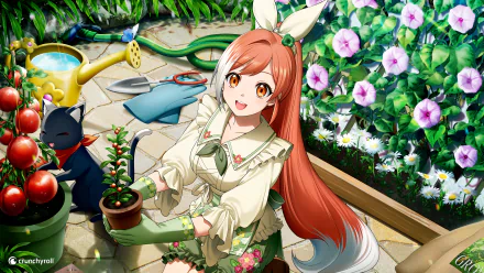  Crunchyroll-Hime