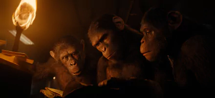 HD Wallpaper of 'Kingdom of the Planet of the Apes' featuring realistic apes reading a book with torchlight in the background.