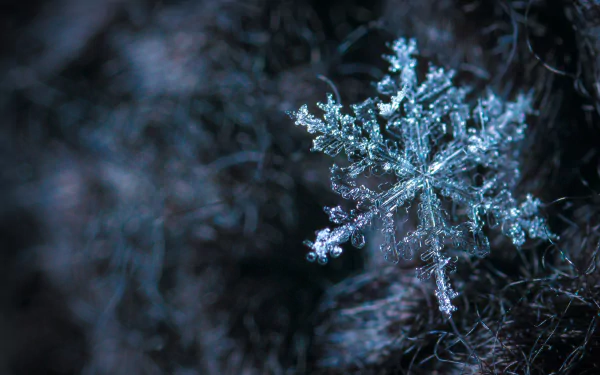 A close-up shot of a delicate snowflake, captured in stunning HD detail, perfect for a desktop wallpaper.