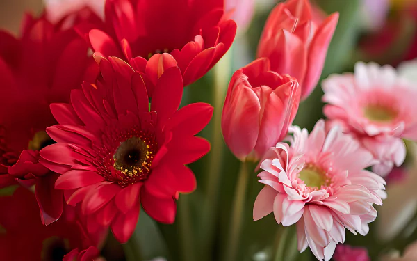  Blooming flowers 2