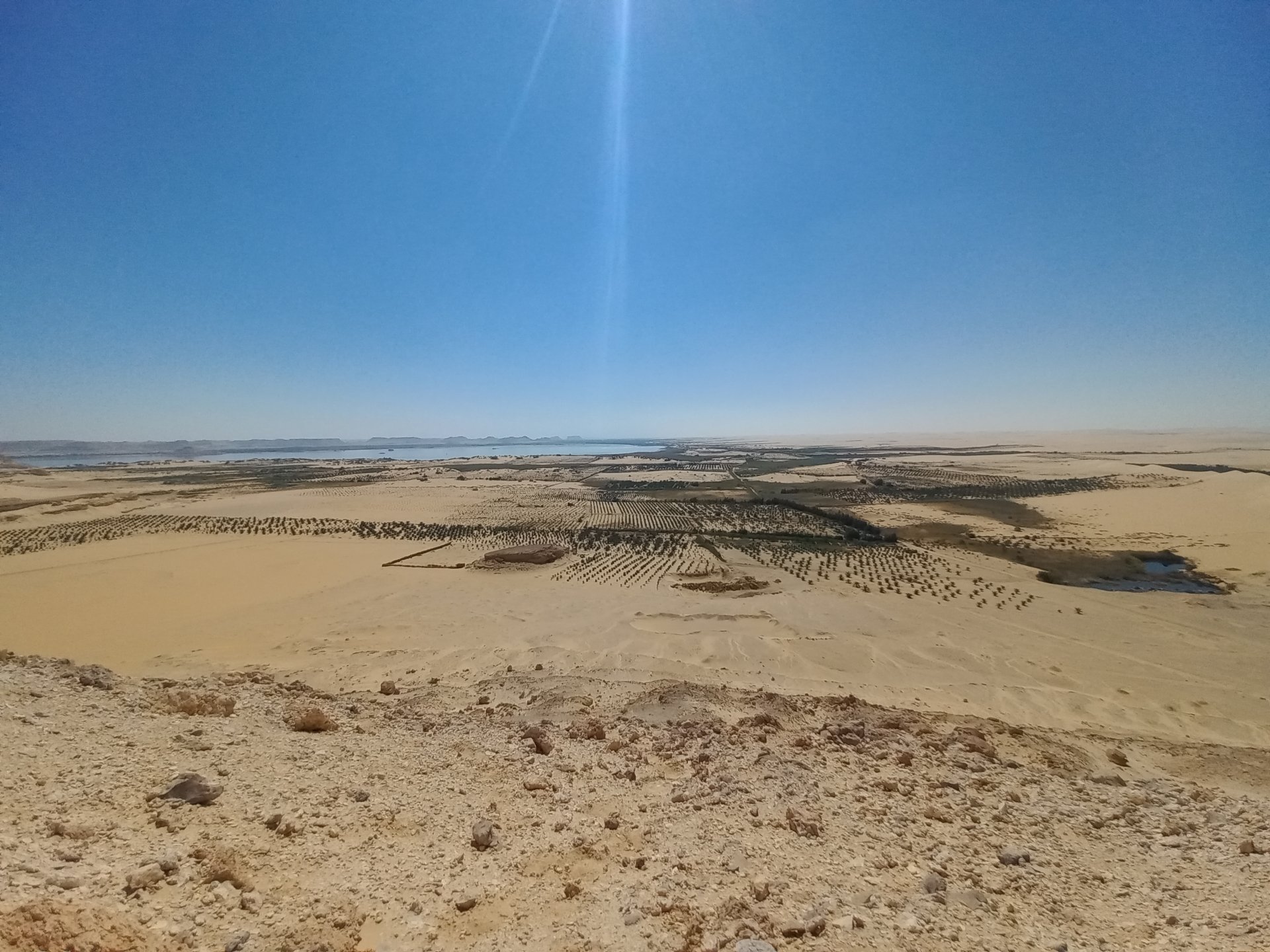 Siwa Oasis by mohammadelkhiat