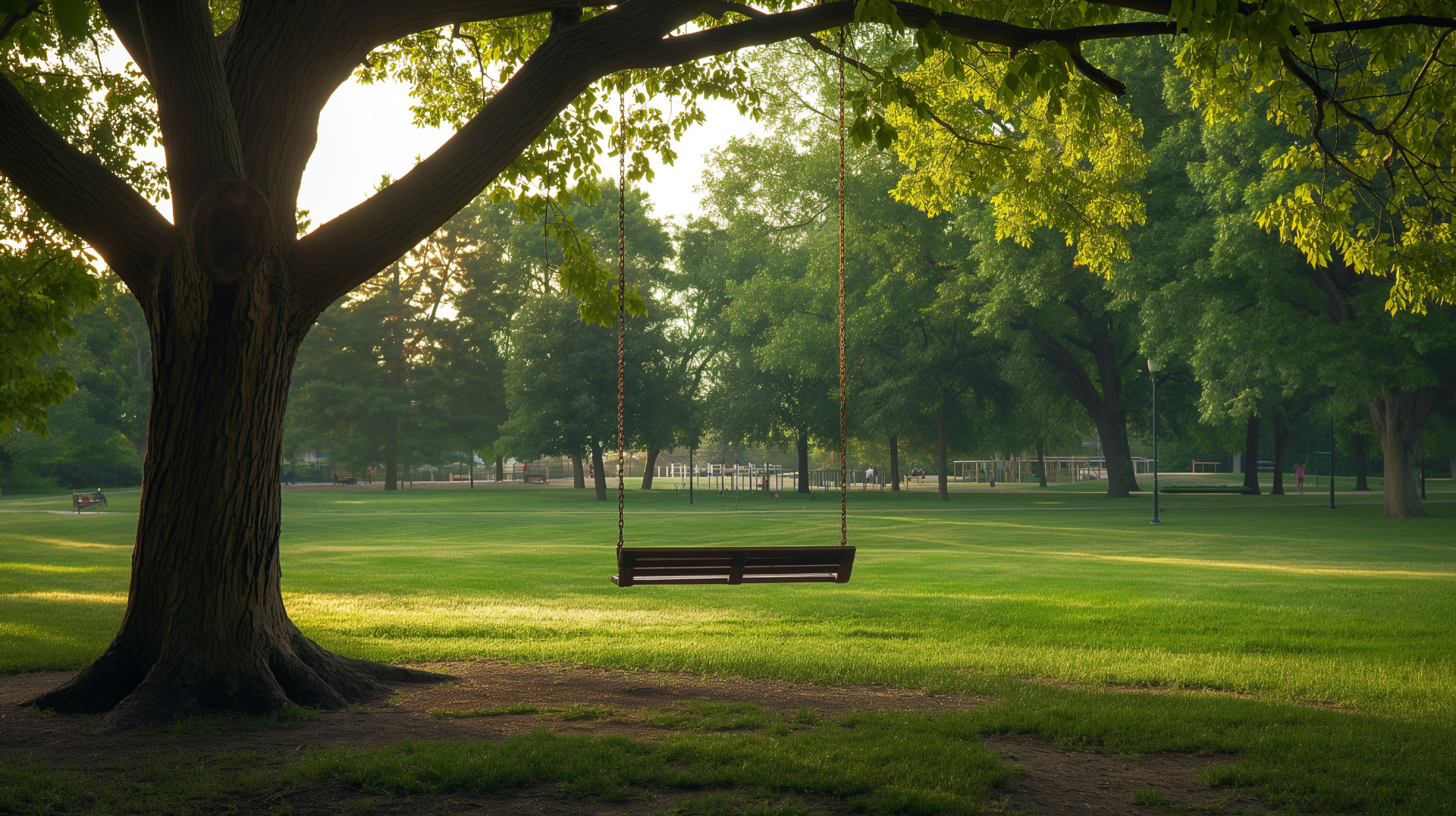 HD wallpaper of a tranquil park scene with a tree swing hanging from a sturdy tree branch, casting a soft shadow on the lush green grass at sunset.
