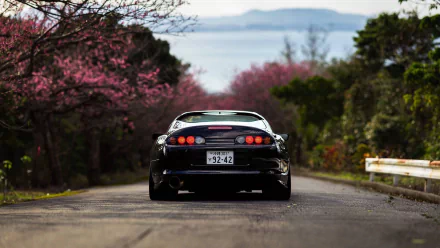 HD wallpaper of a Toyota Supra car on a scenic road with blooming cherry blossoms in the background.