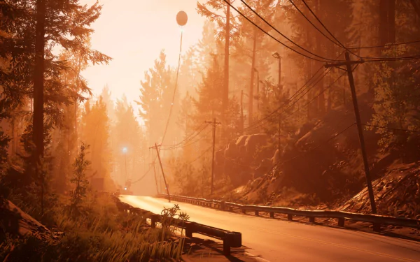 HD desktop wallpaper of Pacific Drive video game featuring a serene forest road bathed in golden sunlight.