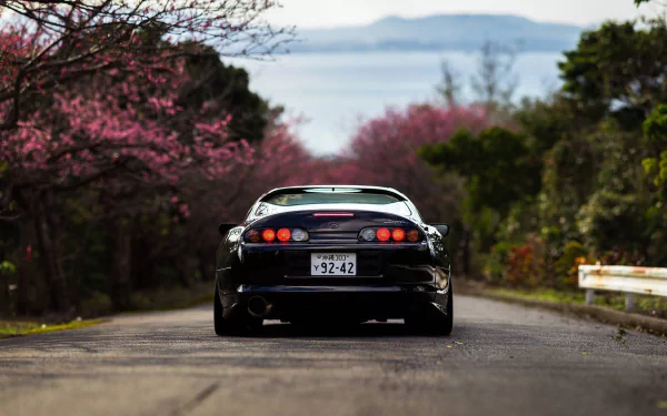 HD wallpaper of a Toyota Supra car on a scenic road with blooming cherry blossoms in the background.