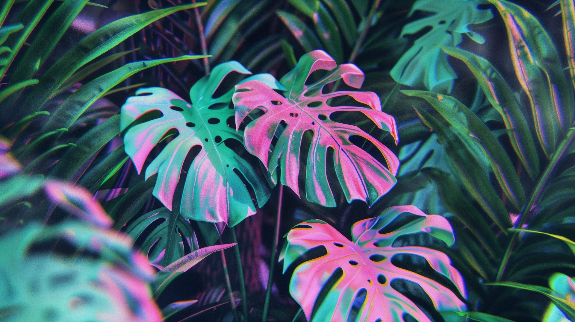 Monstera Magic 4K - Download & Enjoy Free! by Phaethon