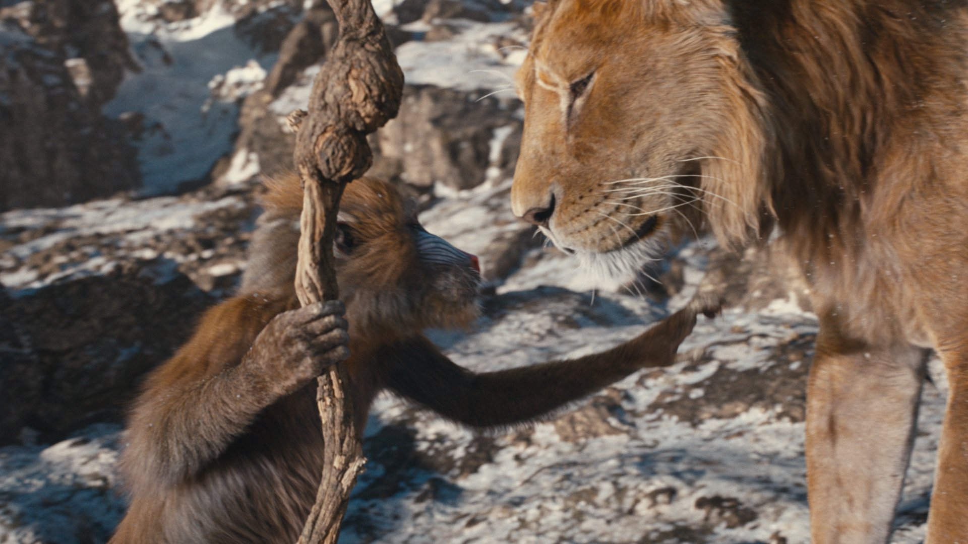 HD desktop wallpaper of Mufasa from The Lion King interacting with another lion character, set in a rocky landscape.