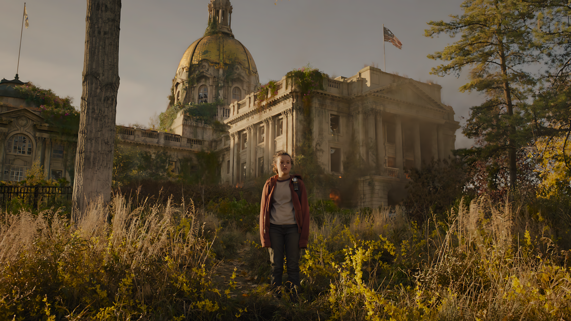 Ellie from The Last of Us stands amid tall, overgrown weeds before a ruined domed capitol building under a warm sky — 8K Ultra HD PC desktop wallpaper and background.
