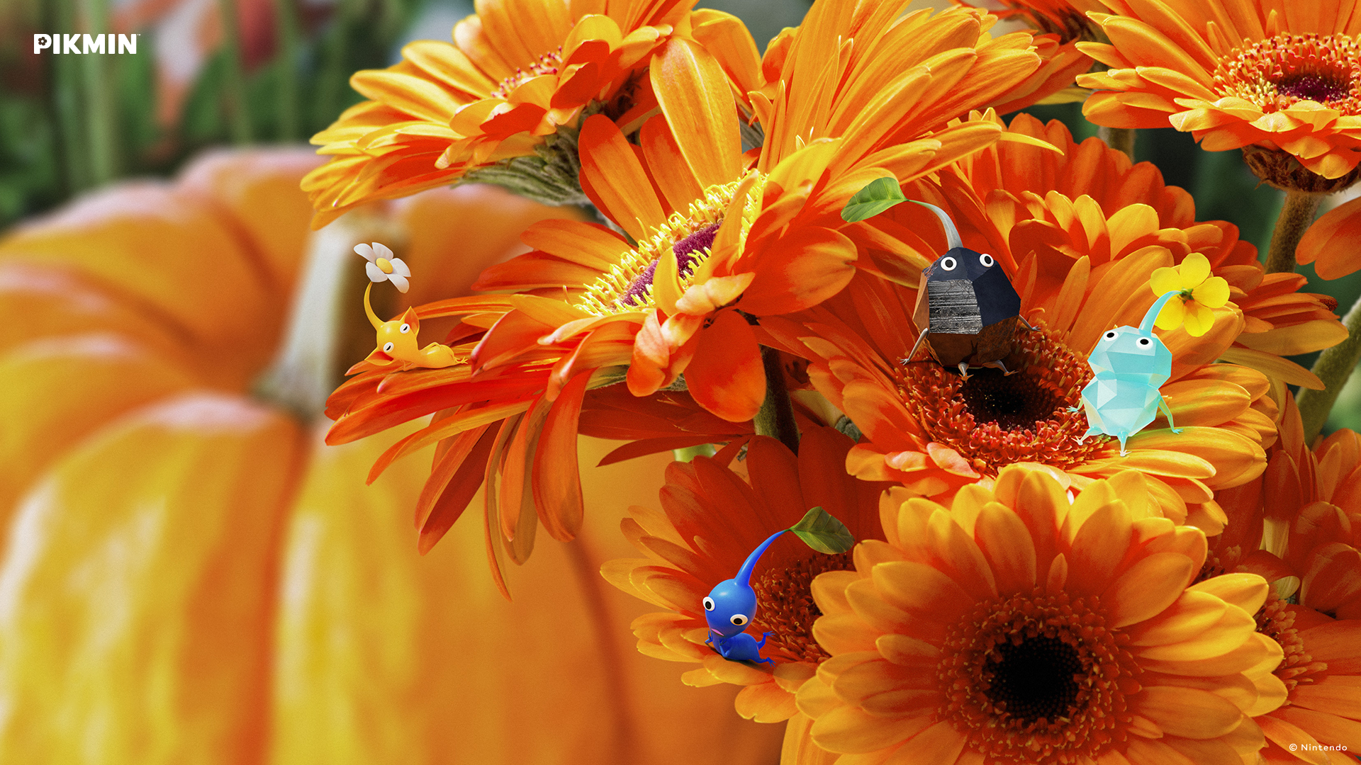 Download Pikmin HD Wallpaper