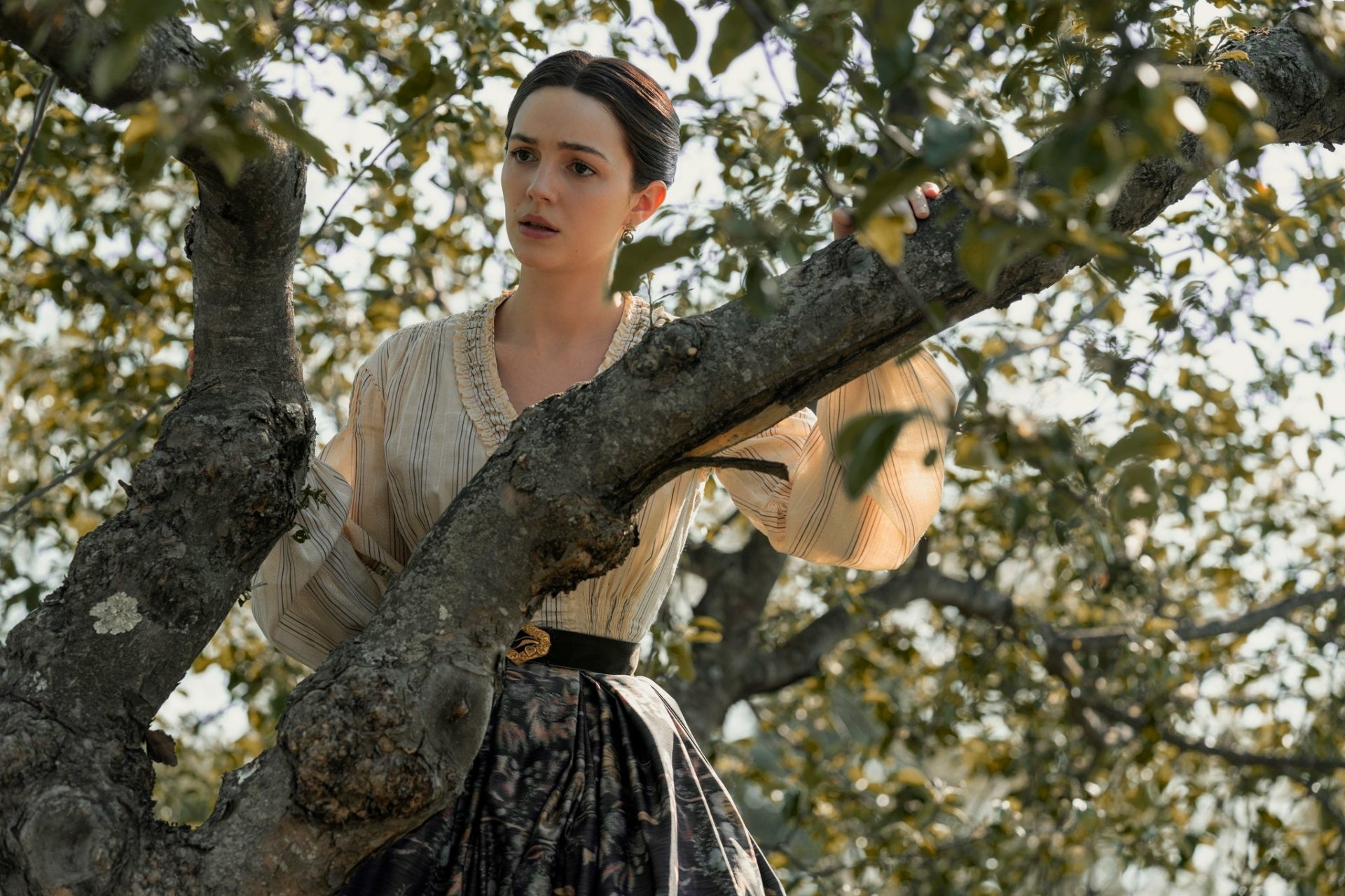 Ella Hunt in character from Horizon: An American Saga - Chapter 1, set amidst a tree, featured in a high definition desktop wallpaper and background image.