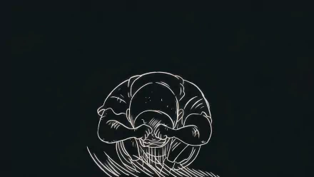  One Piece | Kid Kuma Crying BnW