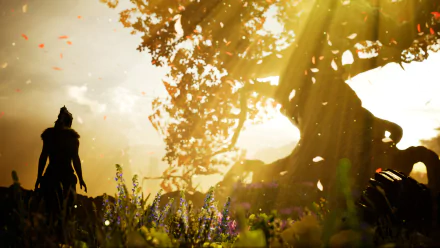 HD wallpaper and background from the video game Hellblade: Senua's Sacrifice, depicting a silhouetted figure standing near a large, illuminated tree amidst a field, bathed in sunlight and falling leaves.