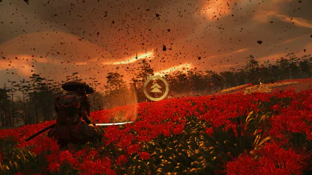 HD PC desktop wallpaper featuring a samurai in a red field at sunset, inspired by Ghost of Tsushima's atmospheric and dramatic landscape.