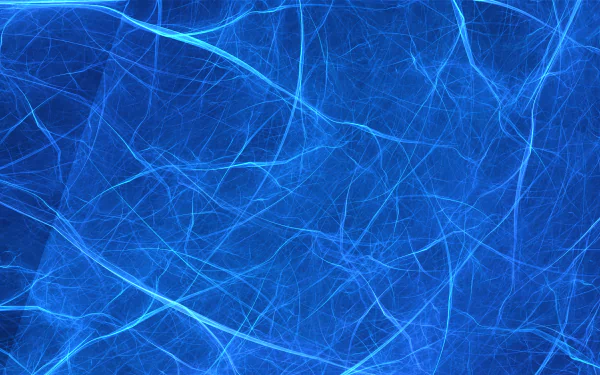  Neurons
