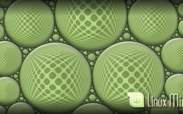  LinuxMint4