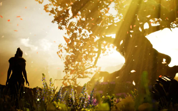 HD wallpaper and background from the video game Hellblade: Senua's Sacrifice, depicting a silhouetted figure standing near a large, illuminated tree amidst a field, bathed in sunlight and falling leaves.