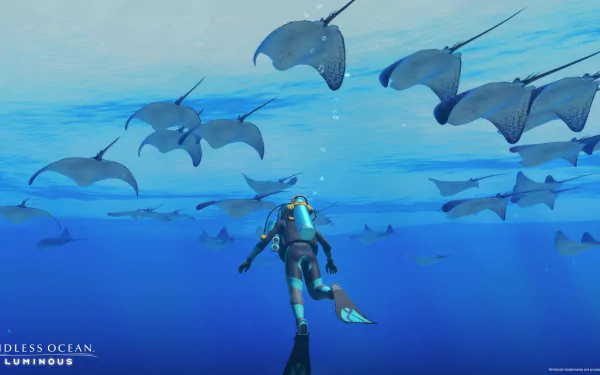 Endless Ocean HD Desktop Wallpaper | Background Image