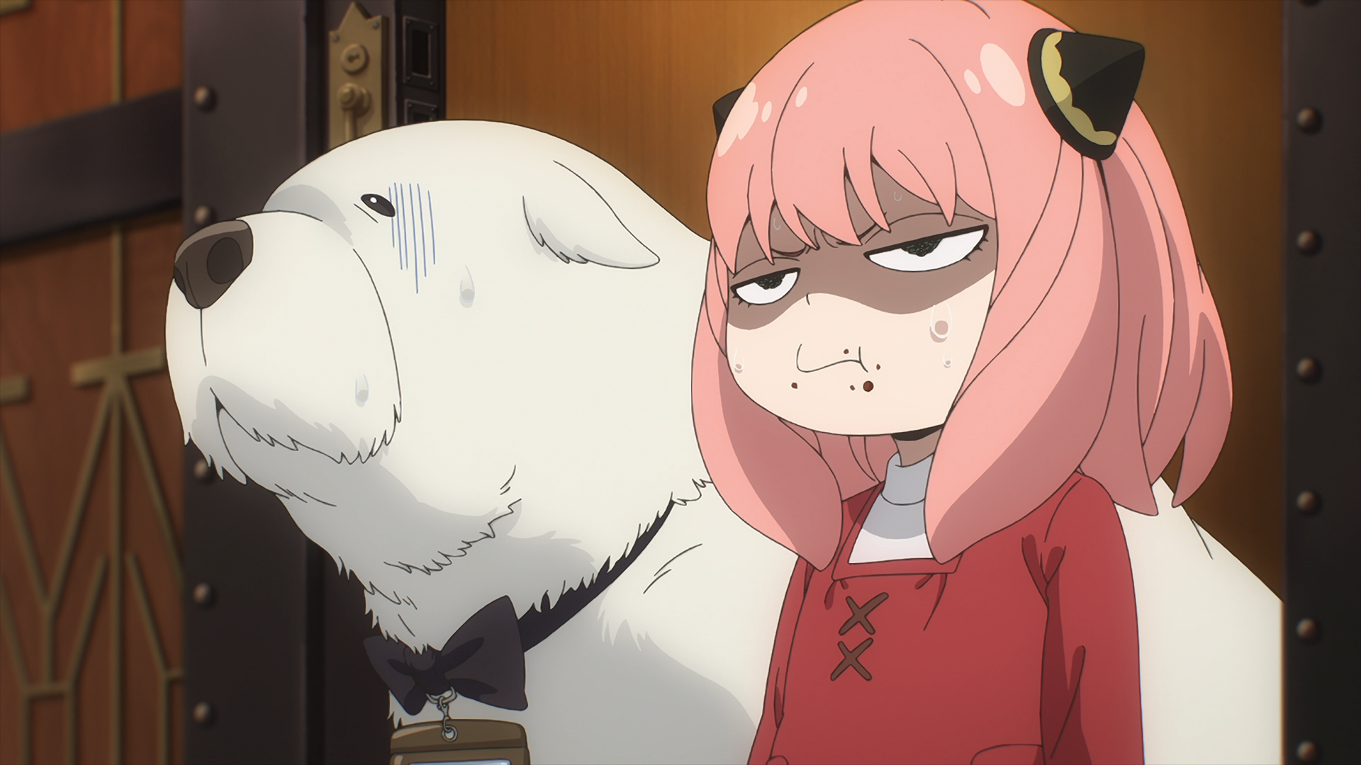 Download Anime Spy X Family Code: White Anya Forger Bond (Spy X Family) HD Wallpaper