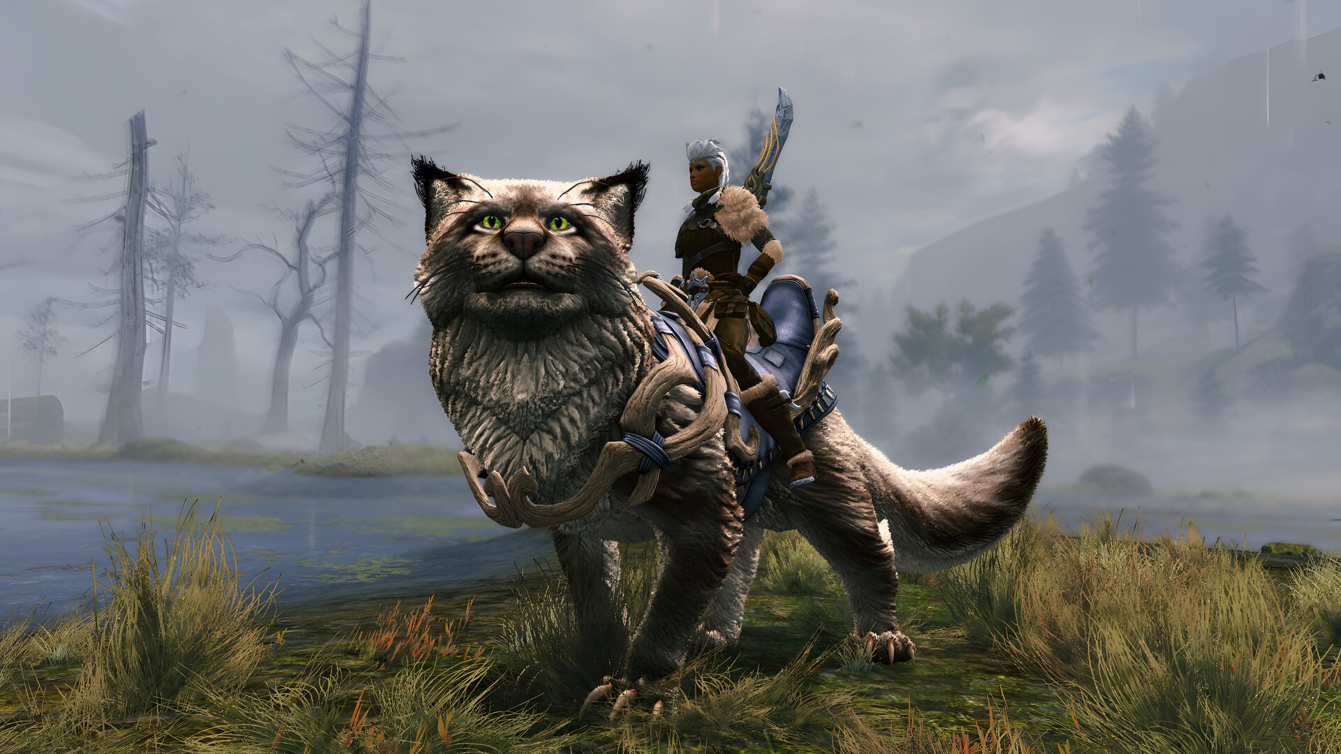 A captivating HD desktop wallpaper from Guild Wars 2: Janthir Wilds, featuring a character riding a majestic feline with striking green eyes amidst a misty landscape.