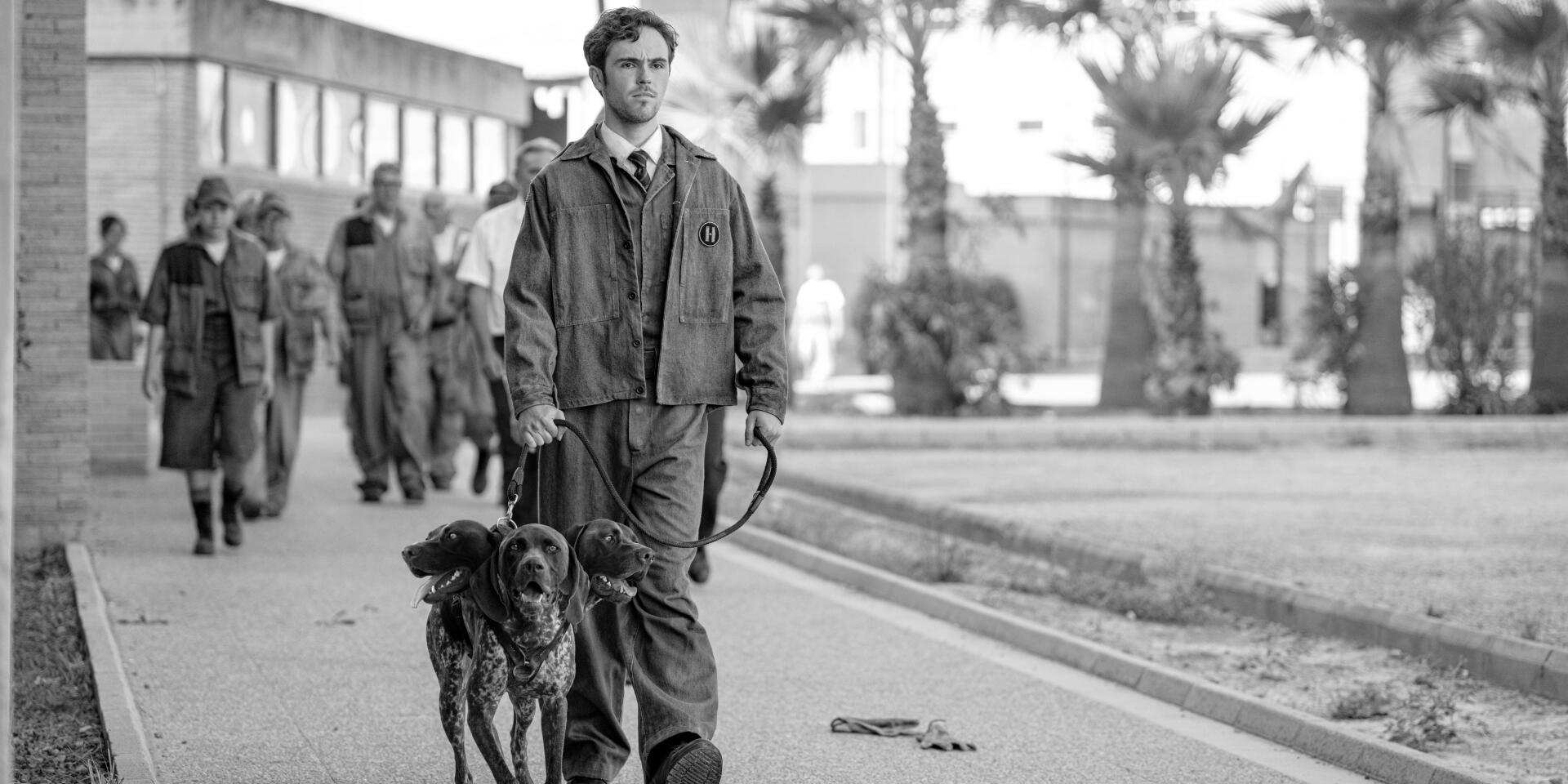 A scene from the TV show *Kaos* (2024), featuring a man walking a dog amidst a group of individuals, set against a stark, monochrome background. HD desktop wallpaper.