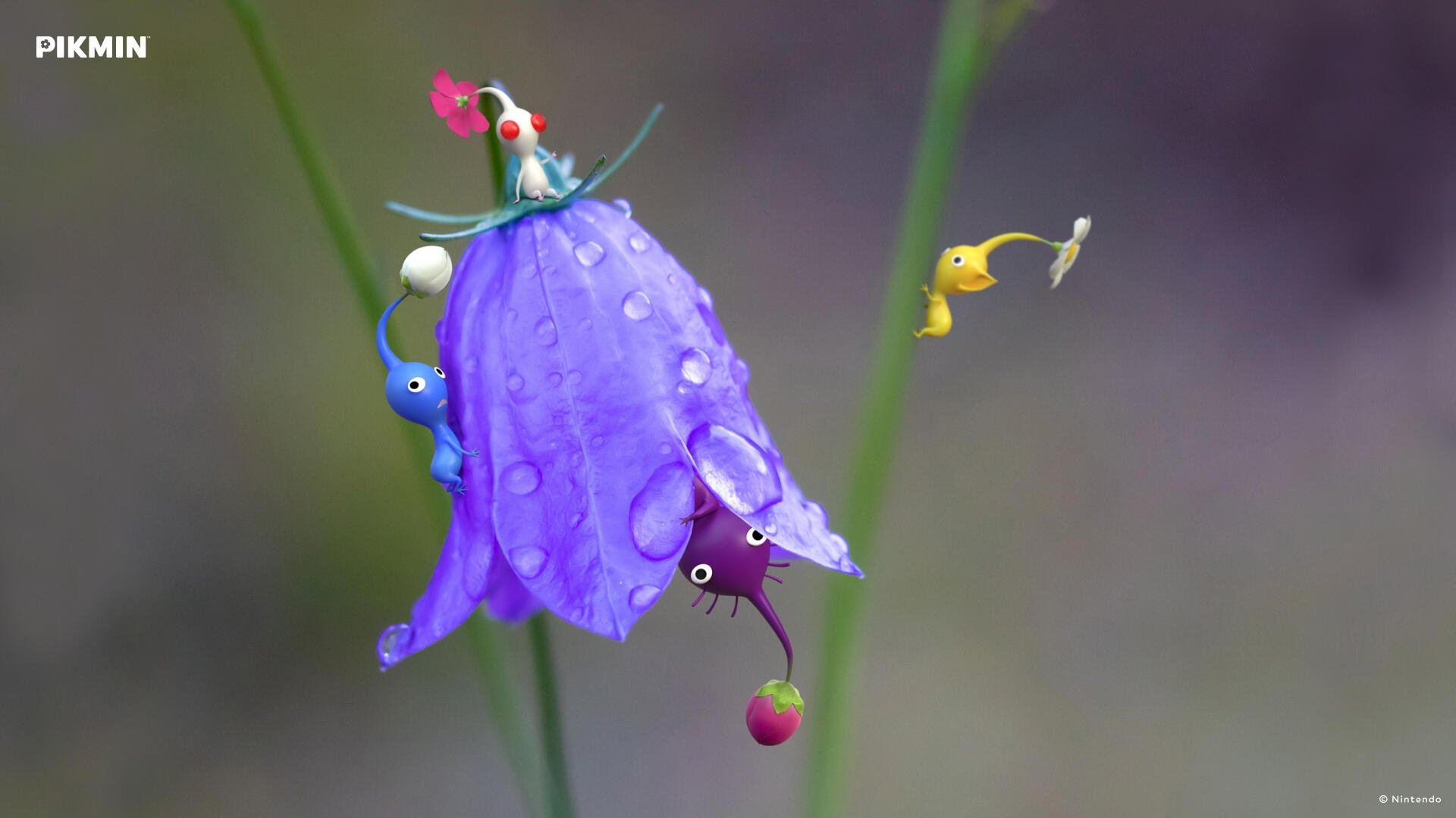 Download Pikmin 4 HD Wallpaper